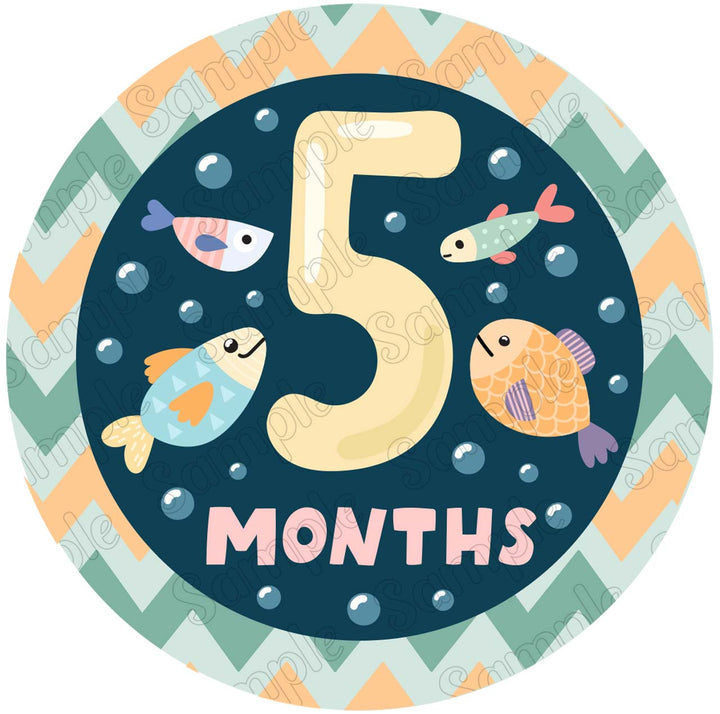 Baby 5 Months Edible Cake Toppers Round